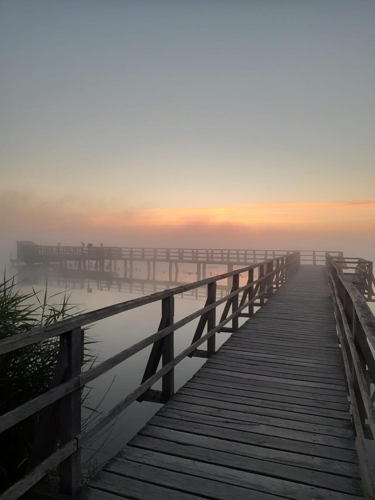 Gemuetliche Wohnung Am Federsee Bad Buchau Bagian luar foto